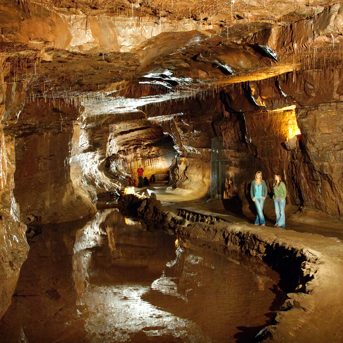 are dogs allowed in dan yr ogof caves